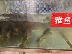 -干老四雅鱼饭店(滨江西路店)