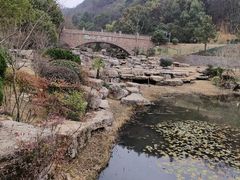 -桃花岭景区