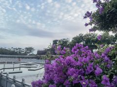 -广州莲花山旅游区
