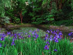 -苏州河梦清园环保主题公园