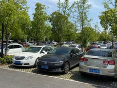 -上海浦江郊野公园·1号停车场