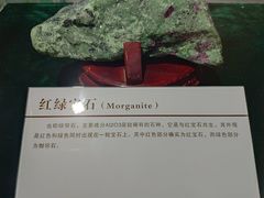 -中国第四纪冰川遗迹陈列馆