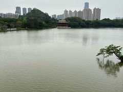-顺峰山公园