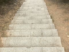 -桃花岭景区