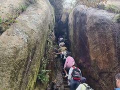 -鲁山国家森林公园