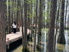 -东湖落雁景区