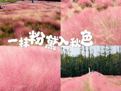 -嘉北郊野公园
