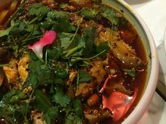 口水雞-香天下(悉尼city店)