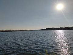 -丁香湖公园