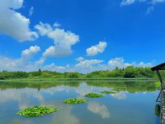 -溱湖国家湿地公园