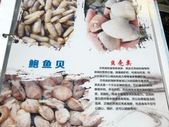 -蚝专家