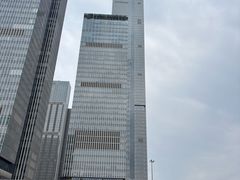 -南京眼步行桥
