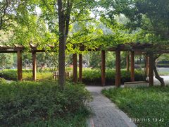 -徐家汇源景区-衡山公园
