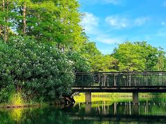 -尚贤河湿地