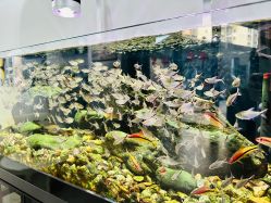 -韵纪亲子儿童摄影·孕妈照