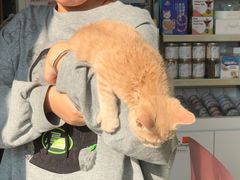 -乐琪宠物医院·犬猫专科·骨外科·急重症