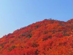 -周口店坡峰岭风景区