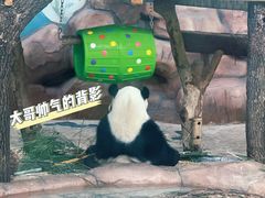 -南宁市动物园