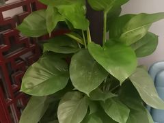 -正晴和酒店(黑龙江路店)