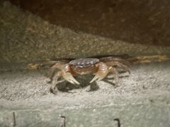 -狼山风景名胜区