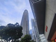 -桃苑(华侨银行大厦店)