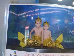 -顺德南宏海立方海洋公园