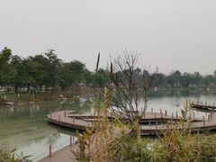 -桤木河湿地公园