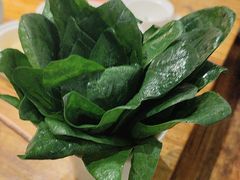 -额尔敦传统涮(西坝河店)