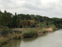 -上海长兴岛郊野公园