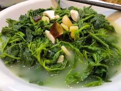 上汤桑叶-绿华园休闲山庄