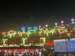 -枇杷园食为鲜火锅(南山店)