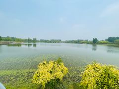 -东郊湿地公园