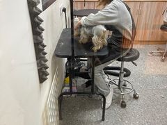-小呆的宠物店·宠物售卖·宠物寄养(城西店)