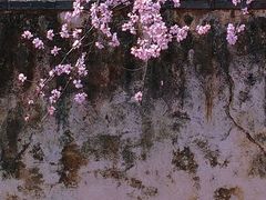-颐和园