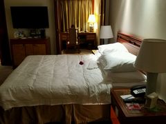 -香港皇家太平洋酒店