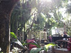 -Fern Forest Cafe