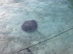 -中央格兰德岛温泉度假酒店 - 全包