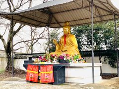 -上海佘山国家森林公园天马山园