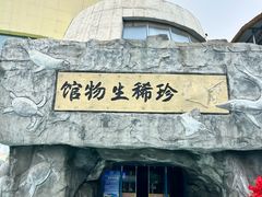 -芜湖新华联大白鲸海洋公园