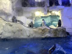 -华夏文旅海洋公园