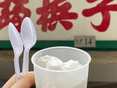 -洪馨椰子