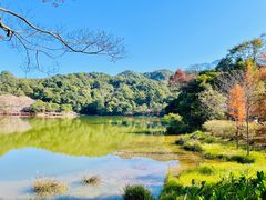 -广州市石门国家森林公园