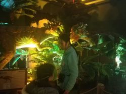 -恐龙探索乐园(磁器口店)