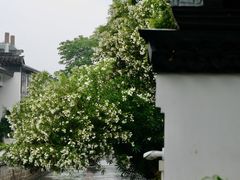 -金谷里艺术馆