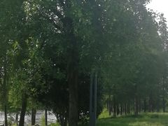 -四里河滨水生态公园