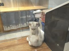 -狗道宠物(常熟印象城店)