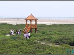 -北海金海湾红树林生态旅游区