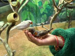 点击看大图 -Zoolung Zoolung动物主题公园(海信广场店)