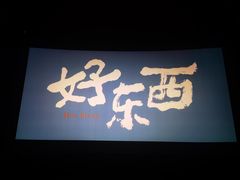 -华谊兄弟影院(IMAX洋桥店)