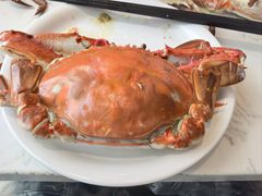 -半岛听涛蒸汽海鲜自助(K11店)